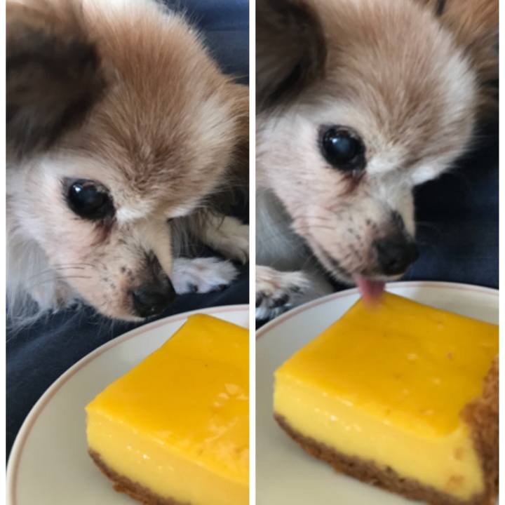 9bee5dbe eb03 4632 ac60 0f73c521b654 1527986186835