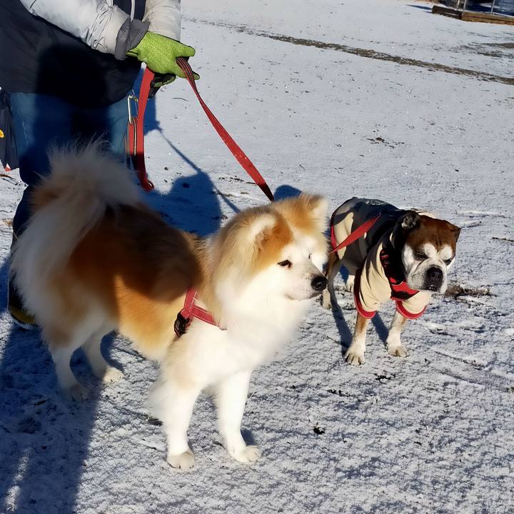 9bee6769 d9a5 4d64 a08e caaffa30f89c 1674908425015