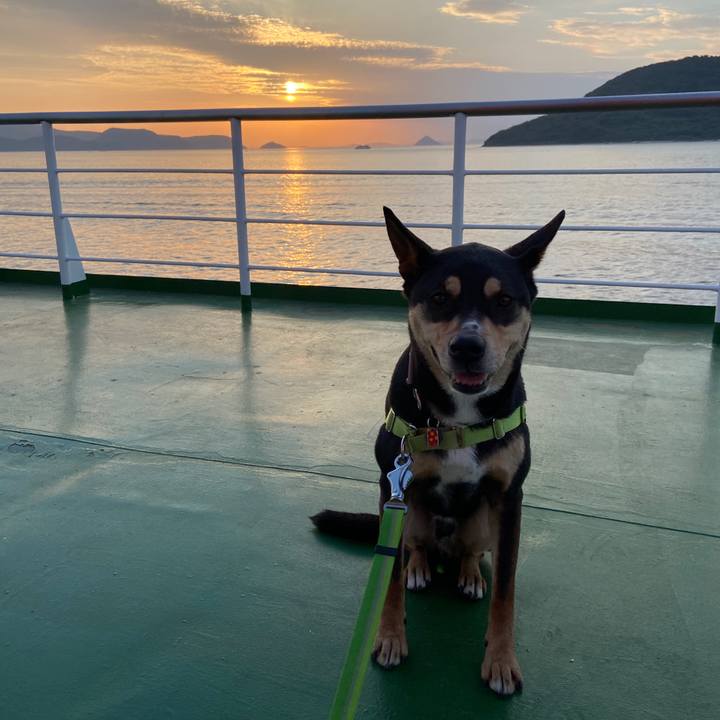 9beea2b1 ccf9 4bbd bc06 28c58347de36 1619271490118