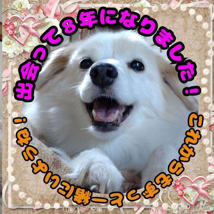 9bef4e8f 43e6 4a65 9a03 7f572c97e143 1667819189499