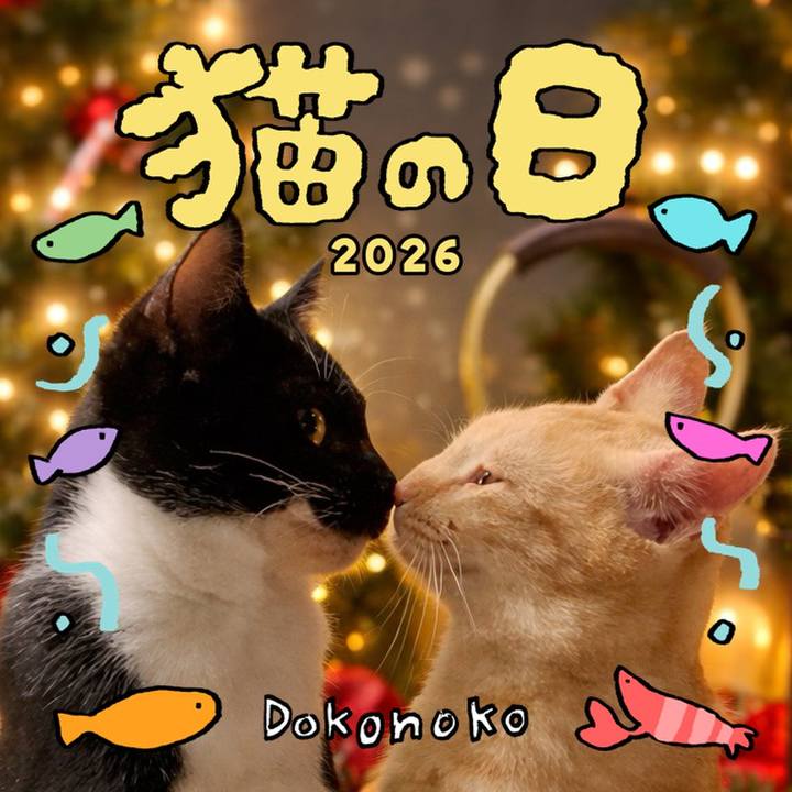 9bef5e60 2063 452e 8d02 9ab379806081 1771737591535