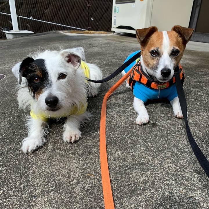 9bef6eda 60e4 46f7 a65d 13587087ae70 1599438656789