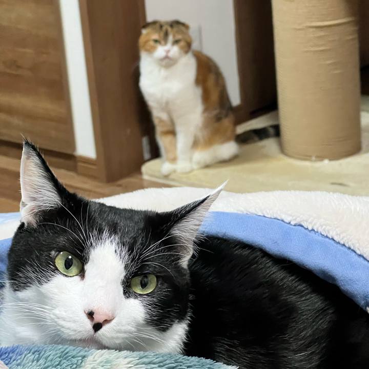 9bef787f ea69 49f0 a546 fcbee85afa6d 1763462877114