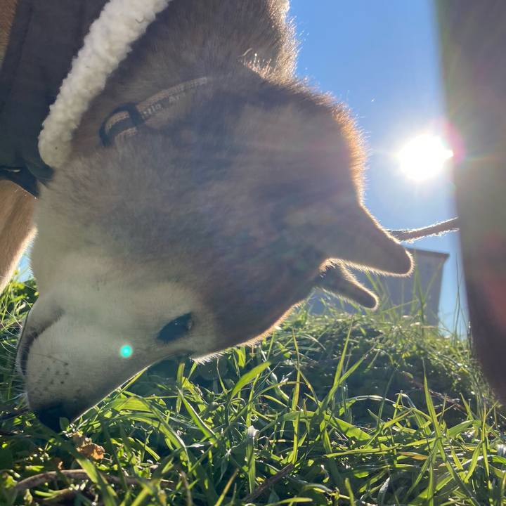 9bef7cc0 ce27 481a a735 9735a6f1e61a 1734398677014