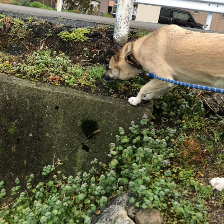 9bef7fd7 3b6c 403e 8d20 7d3312cb0fd5 1579867145042