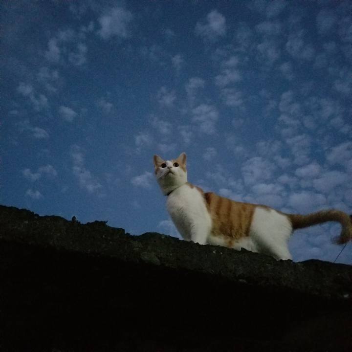 9befc4a8 a782 43cf bfe4 5ed405d562e9 1537618313254