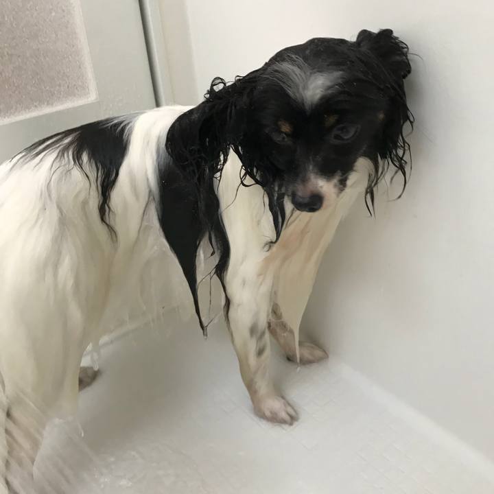 9befdd08 4ea0 48d3 b0d4 93c6f87dd685 1531619714752