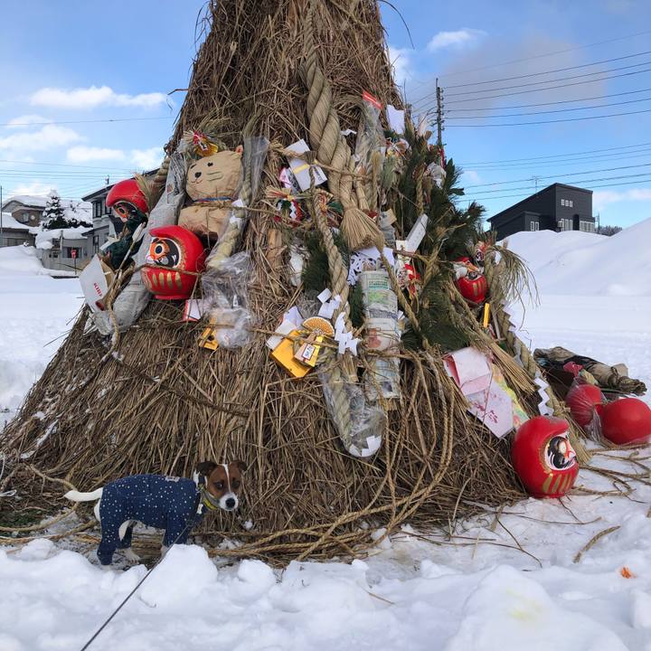 9bf02d1c 0d29 44eb a646 cbd6535902d7 1633494033148