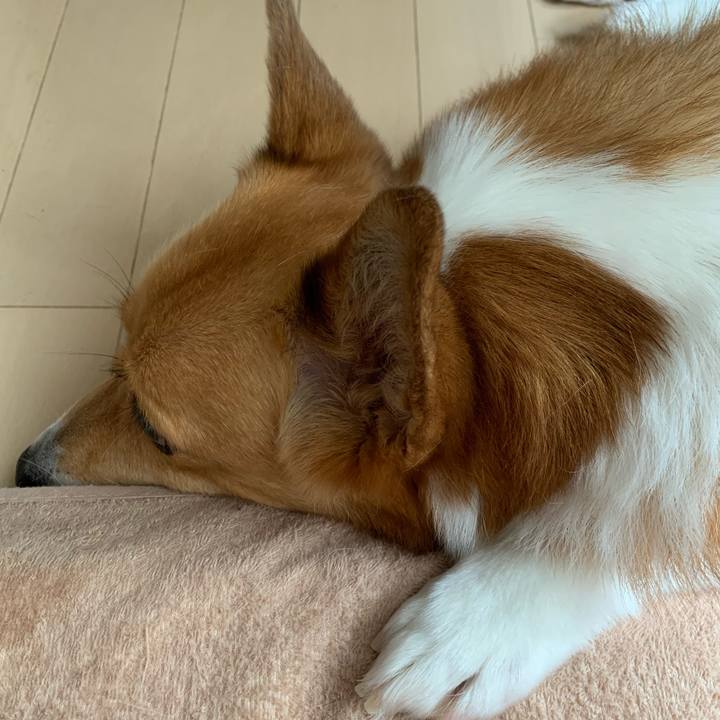 9bf051a6 6049 4029 a0e1 ebc884000549 1594258304231