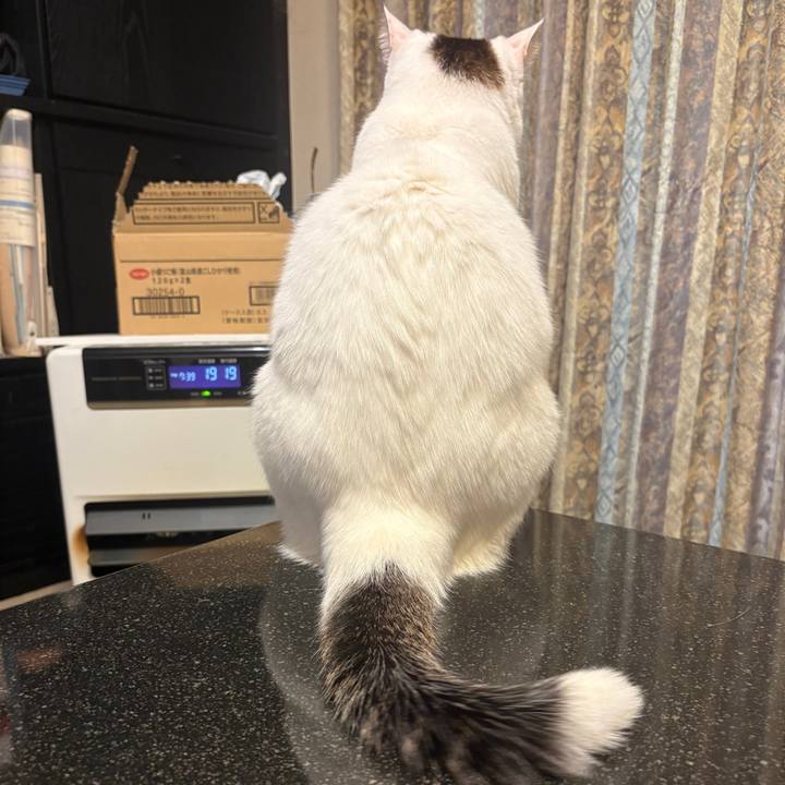 9bf056d8 f3ba 4f1a a2f4 594e93c4cea7 1767825678310