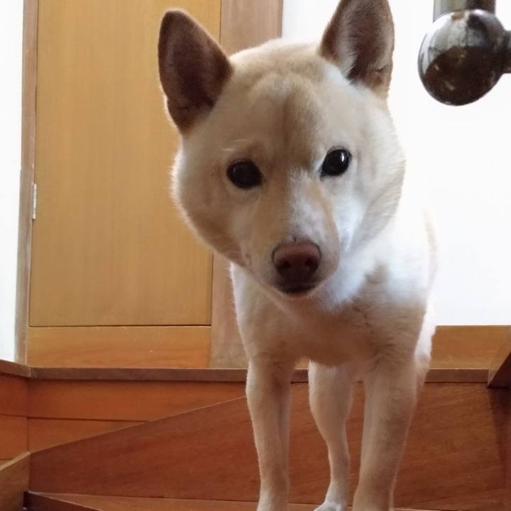 9bf057e6 a035 4bdb a8c7 8e7f75432f3c 1585108418091