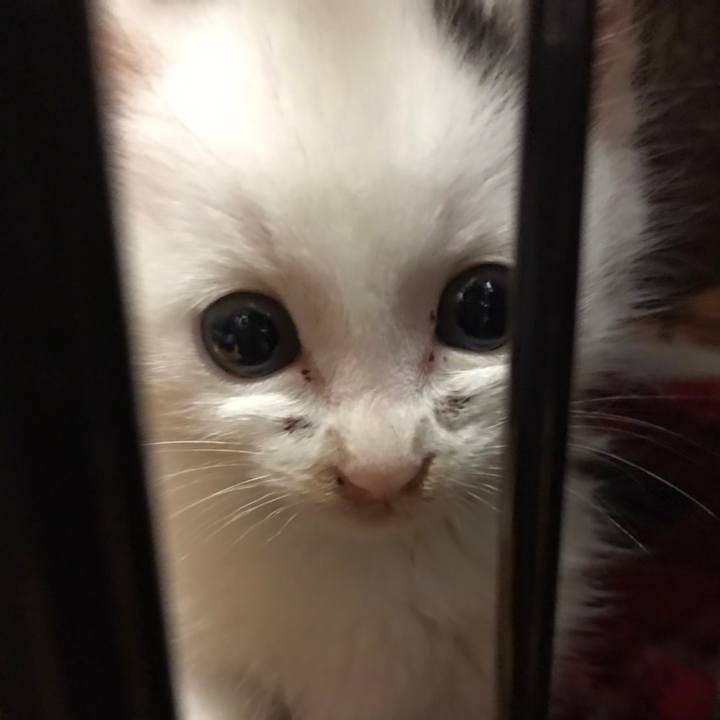 9bf069b5 d92d 4d6f 8849 7ef2357fc499 1665617576856