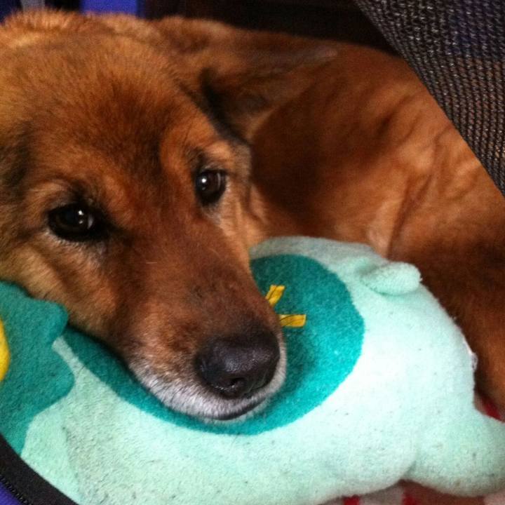 9bf07c19 b395 43b6 a087 8c0be59615bc 1684721648416