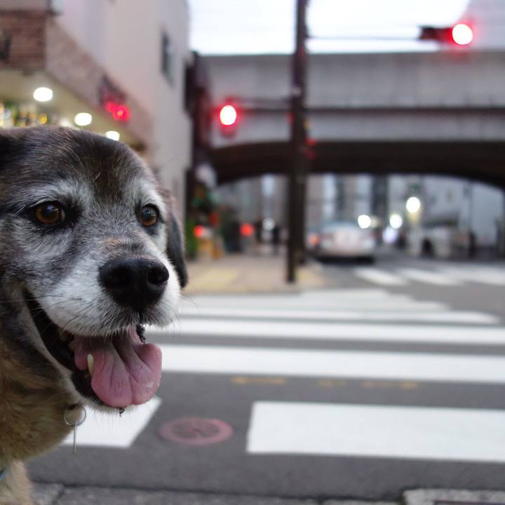 9bf0a49c 7ec5 4cda a81e bf243cde7dc5 1673052679410