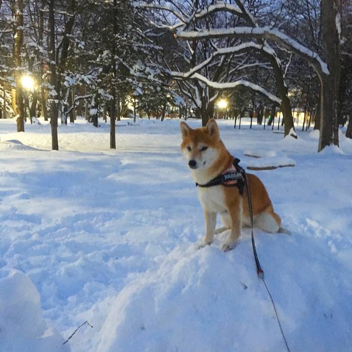 9bf0cf8f 59a6 463b 85f3 ad1fa4549381 1515327569395