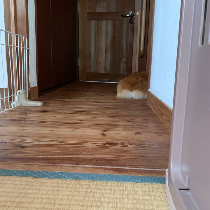 9bf0d89a 1873 4287 bc82 beaa970fa48f 1624062132045