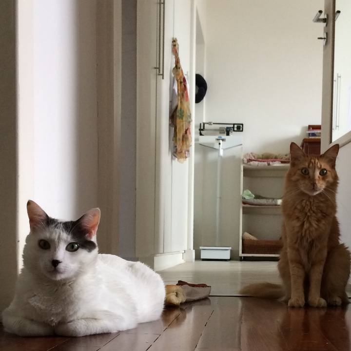 9bf0eee5 6df8 44fd b9d0 0596a27ff42c 1528738470822