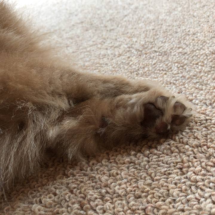 9bf10bce 9686 4746 8b2d f5747edb00e6 1596774459956