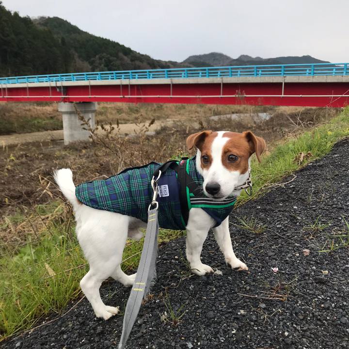 9bf11710 d288 415c aa88 a76845eeb1c4 1547273202894