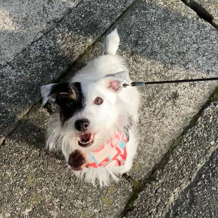 9bf11f93 ed53 4a66 a0e1 dff908391b20 1660466449552