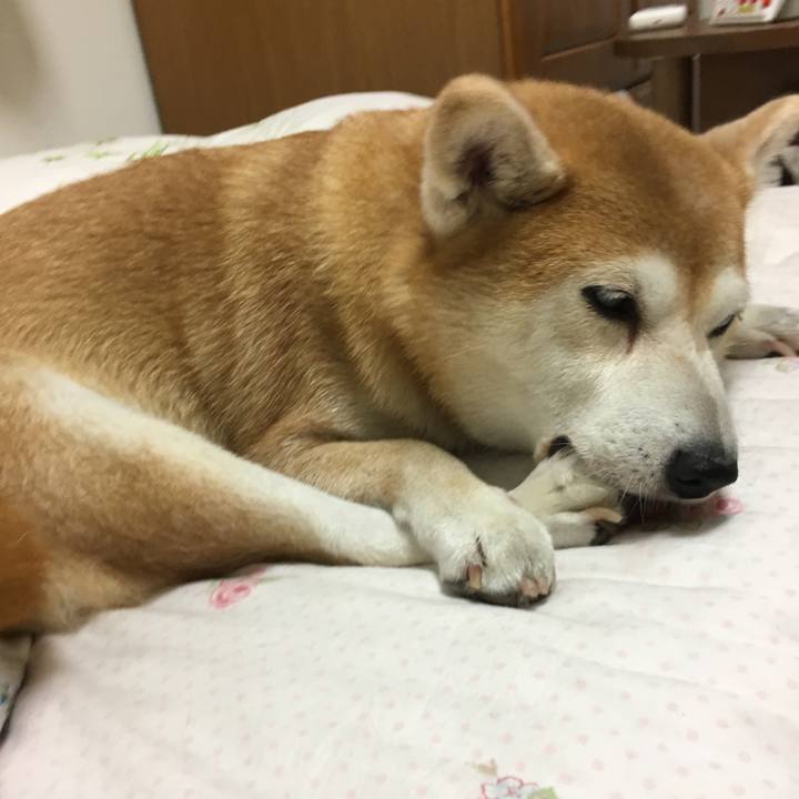 9bf12ca9 7e60 43d8 a753 02ad387afdae 1533275166520