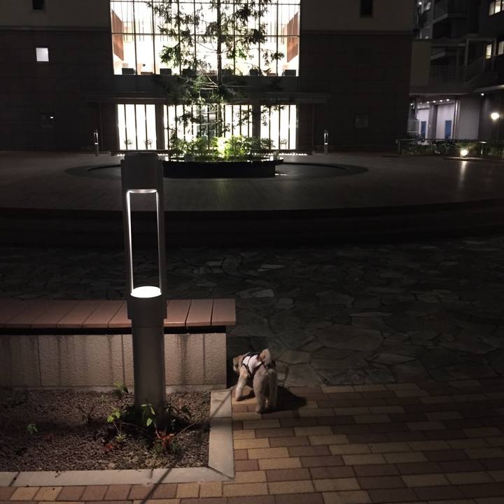 9bf12e8b 31e2 413f bb16 55b647f4acf4 1565353576946