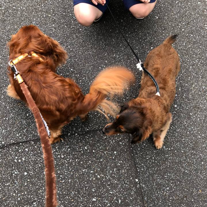 9bf1314b 5950 4d81 9990 eef73d3b0b6f 1629795645084