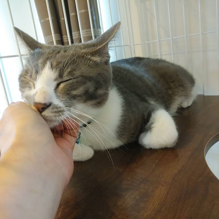 9bf13ce3 e40b 41cd 9863 7e79a2b9c98d 1592531559559