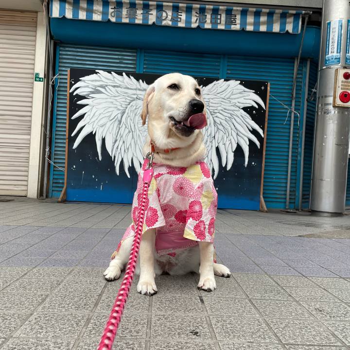 9bf14d58 4d76 4e13 986d f85fb88b4473 1628731050915