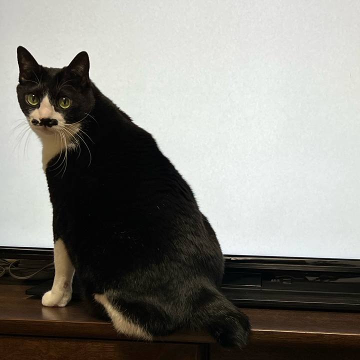 9bf1569b ba86 46f5 bb55 fd9f25030e1c 1768212404025