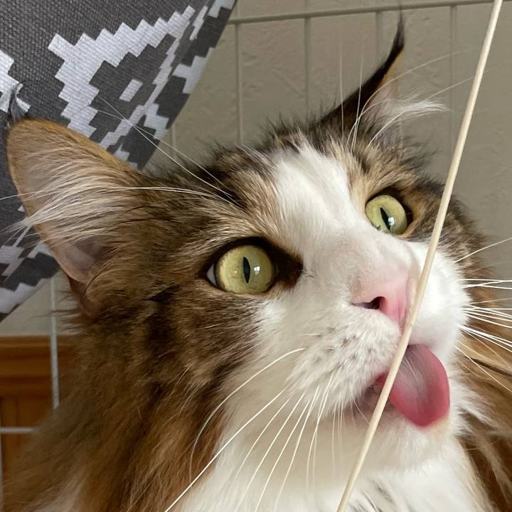 9bf15dc9 fa9f 49df 89ca 649f08d81e8e 1686370012091