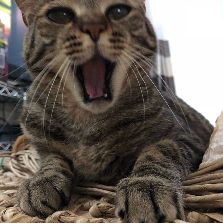 9bf18f48 f53a 4584 bfdf b4e6d3209cda 1529869214855