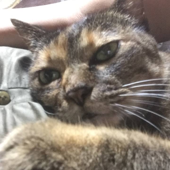 9bf1d945 7f22 4734 9daf fda4d7e405cc 1535451293948