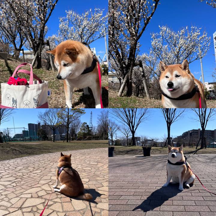 9bf1fba1 fd04 4d6f 9006 2512a3260d6d 1676947876582