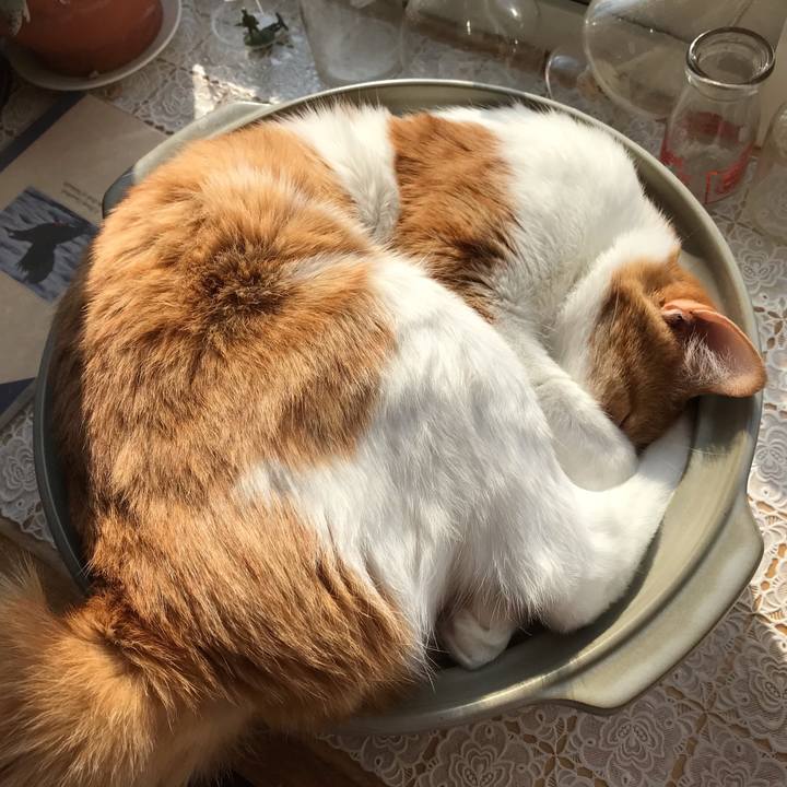 9bf21147 5adc 44bc afdb ef914cb732df 1587766228619