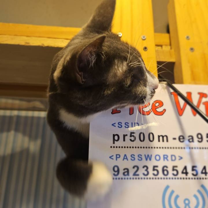 9bf21e63 4d77 4de9 85c2 3e09b84c68f2 1754879718759