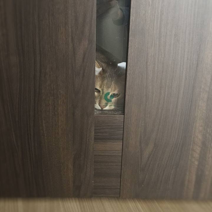 9bf294f0 135f 4abe b639 aa029e3e2552 1774916640147