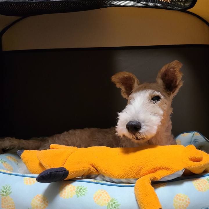 9bf2bb4b 9979 463d 9224 987ea7641d8e 1664405850010