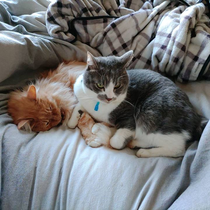 9bf2c37f 2d6e 472b bcdf cafc2003c8a8 1675736810714