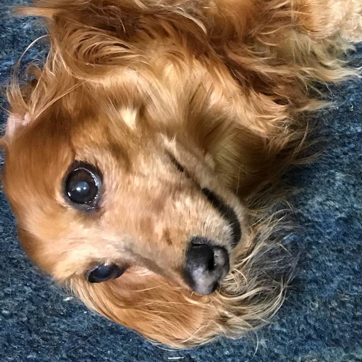 9bf2d87c b65b 4a3b be6d d14a0451f893 1562152466775