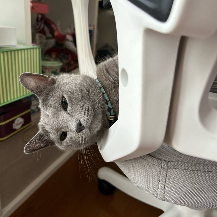 9bf32946 011d 421b b18a 05c5a5edc0ba 1688700065503