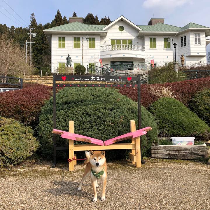 9bf32daa b472 42a3 90f9 f566f147727b 1553758862512