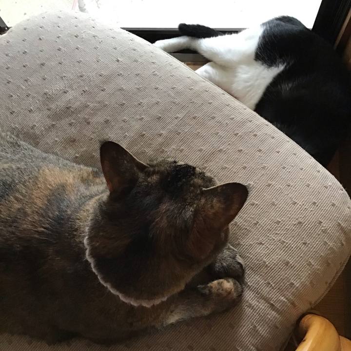 9bf3313c dc48 4101 996f e97b8c8827e6 1755516720611