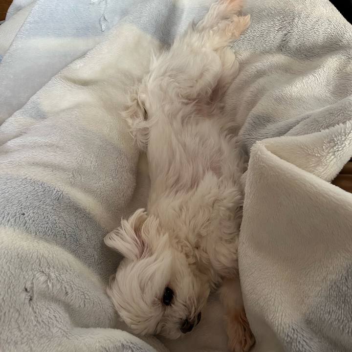 9bf4070b b7fe 4180 b127 ed26522d19c1 1707029156854