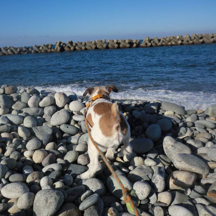 9bf424ef 12f6 4127 91d5 93438ed60183 1574571513635