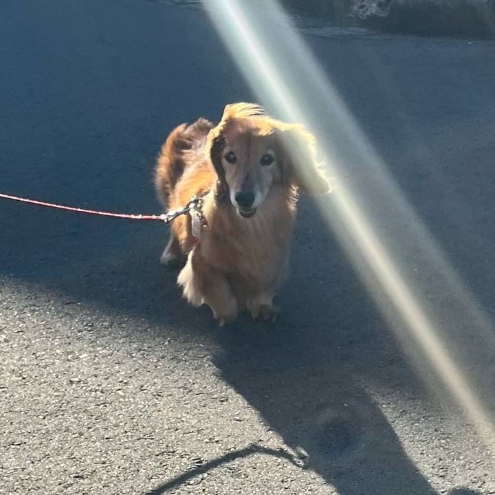 9bf44547 8737 4770 9d40 e1d6289d1fcf 1672315239977