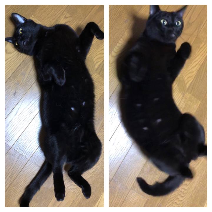 9bf448c1 3431 4cfa 88bd 927f6de05016 1712226776990