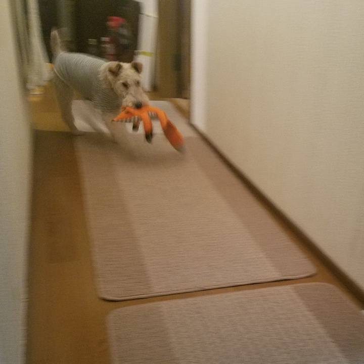 9bf449a4 86f9 4be0 b7c0 cf24da2a5af5 1588769153612