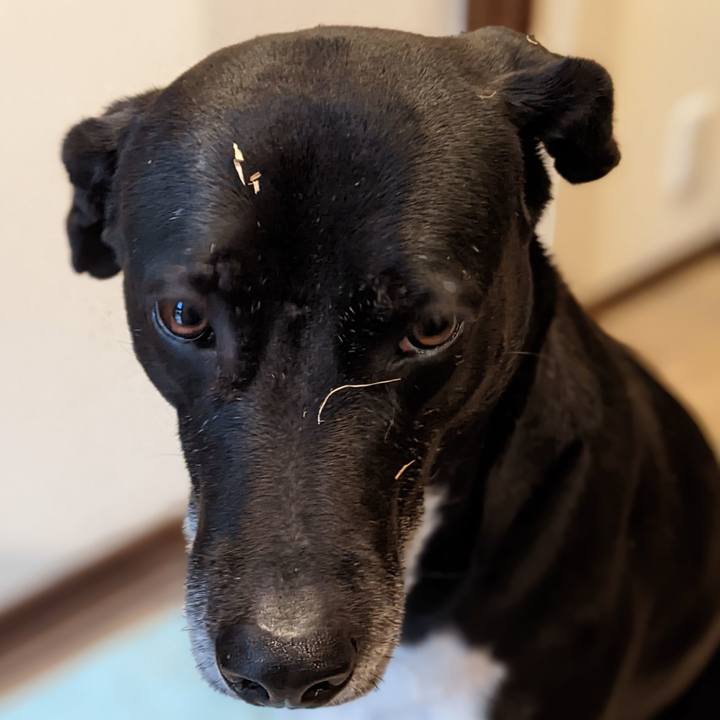 9bf4d0c0 b513 425e 9fe0 34f94889cc6f 1676337352482