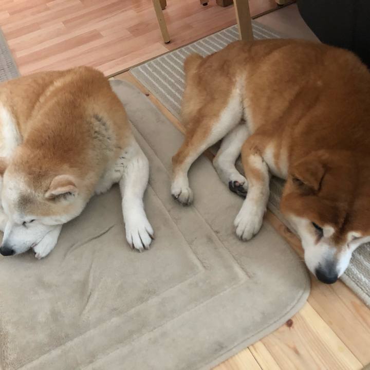 9bf4d5ca 3487 4d5d 99d7 61ea8d3a5a00 1555885826077